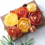 貝がらの薔薇をフレームに閉じこめて