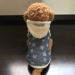 犬服！Sサイズ♡デニム風☆ネイビー袖あり