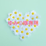 「ゆみ☺︎︎様専用」ピアノ線揺れるお花ノンホールピアス