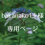bakanako13様　専用ページ