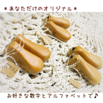 あなただけの…＊アンティークカラー シューモールド＊