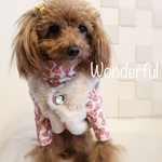 犬服　ヘザーファーベスト　ミルキーベージュピンク