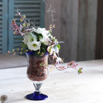バラ咲きジュリアンのプランツパフェ  白