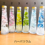ハーバリウム 