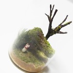 【お狐様の箱庭世界】