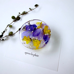hairclip×brooch...水たまり...デルフィニューム/apres la pluie