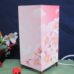 天真爛漫演歌さくら花　飾りライトの神秘な醍醐味を!!