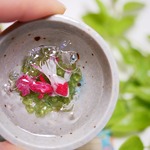 どんぶり金魚　B　ミニチュア　