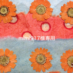 mimi917様専用