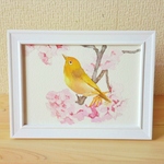 透明水彩『花鳥』　額縁付き