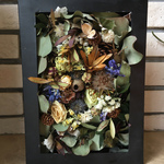 Plant picture book   L