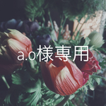 a_o様専用 パンパスグラスとアジサイスワッグ 