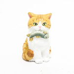 コルクのどら猫・茶白