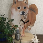 柴犬君の置き時計