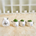 ＊ふぞろいジョーロセット＊おうち1つ付きA.B.C