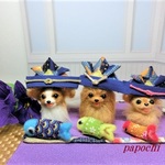 papochiのこどもの日