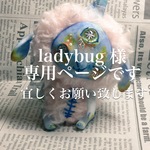 ladybug 様専用ページ