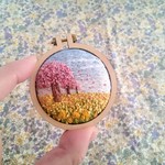 春爛漫🌸菜の花と桜🌸
