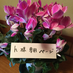 押し花  特別オーダー品 NO.899
