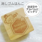 お子様の成長の記録に♪消しゴムはんこ　フォトジェニックくまを