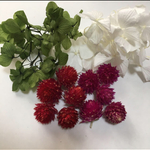 ハーバリウム花材紫陽花