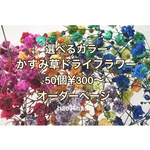 送料無料★えらべる9色！かすみ草 ドライフラワー