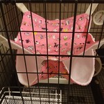 二段ハンモック