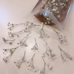 大容量‼︎ かすみ草❁ホワイト