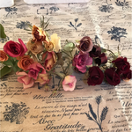 色とりどり薔薇のドライフラワー  