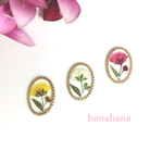 選べる3色！かすみ草の押花ピアス〜オーバル