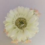 ☆ワンコイン☆ガーベラのコサージュ
