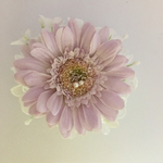 ☆ワンコイン☆ガーベラのコサージュ