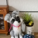 ご注文品　シュナウザーちゃんソルト&ペッパー
