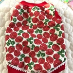 真っ赤なイチゴのあったかTシャツ