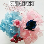 BONITA PLANET♥ハーバリウム自然素材