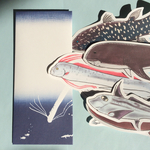 魚のメッセージカード<未知の深海>