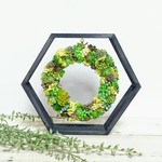 フェイクのミニ多肉植物をたっぷり使ったリース6角形フレーム付き