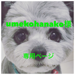 umekohanako様専用ページ