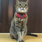 mihokichi様特別オーダー