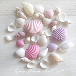 PINK SHELL ( S )    ／  貝殻 セット