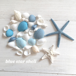 STAR BLUE ( S )  ／ スターフィッシュ  貝殻 セット