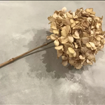 オーダー専用ページ☺︎送料込紫陽花2本セット