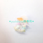 ＊puchikichi様専用＊