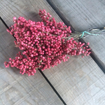 laimusyouta様専用サイト