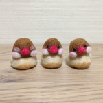 ぷっくりほっぺのシナモン文鳥ちゃん