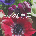 gackting様専用 選んでオーダー ミニスワッグ