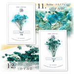 11 かすみ草　スカイブルー【ドライフラワー Bouquet-ブーケ-】ネイル・レジン封入・ガラスドーム・ハーバリウムに