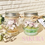 SAKURA …temari lagoon