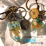 《12星座別 オルゴナイト 》クリスタルエナジーアミュレット水瓶座♒
