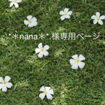 .* ＊nana＊ *.様専用ページです 